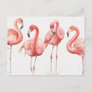 Tropiskt Familj Flamingos Vykort