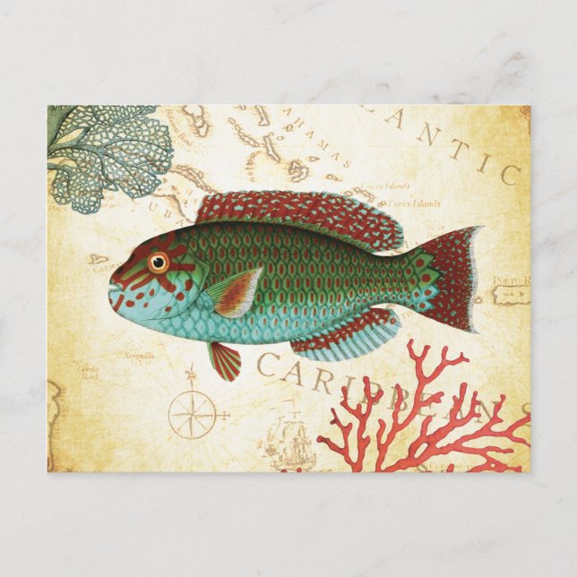 Tropiskt färgat karibiskt fiske och korall vykort (Framsida)