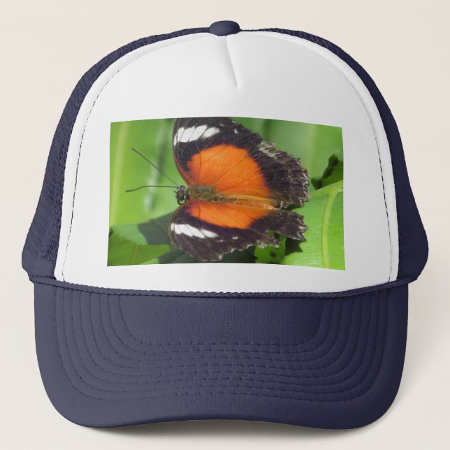 Tropiskt fjäril keps (Framsida)