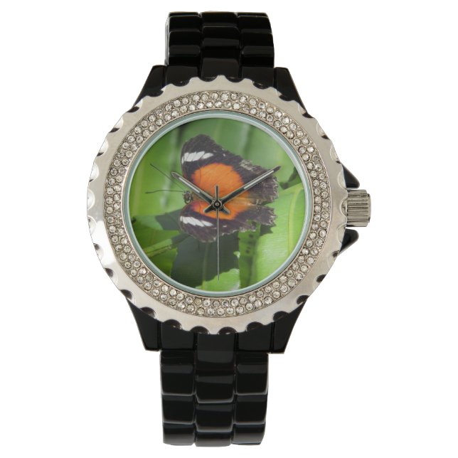 Tropiskt fjäril Watch Armbandsur (Framsida)