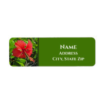 Tropiskt Flower Initialer Bright Rosa Island Blomm