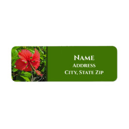 Tropiskt Flower Initialer Bright Rosa Island Blomm Returadress Etikett