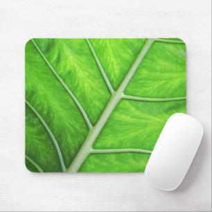 Tropiskt grönt foto Mousepad för lövstrukturnatur Musmatta
