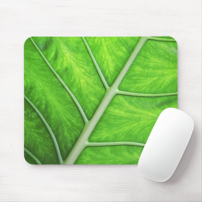 Tropiskt grönt foto Mousepad för lövstrukturnatur Musmatta (Med mus)