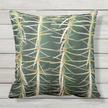 Tropiskt grönt Spherekaktusfoto