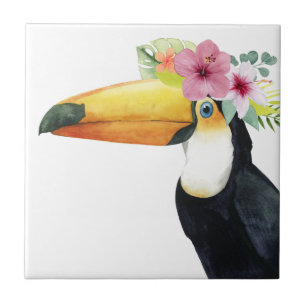 Tropiskt halo - Toucan Kakelplatta