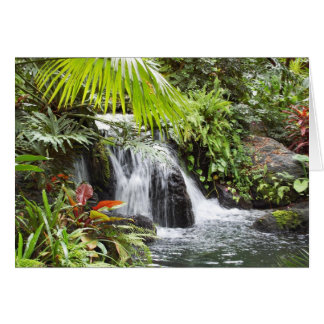 Tropiskt Hälsningskort
