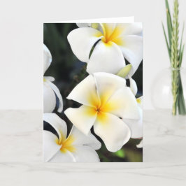Tropiskt hälsningskort för Hawaii Plumeria Kort