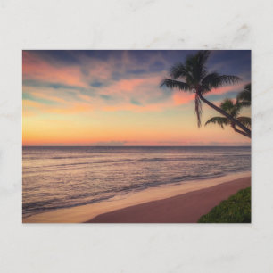 Tropiskt Handflatan-strand vid Sunset Post Card Vykort