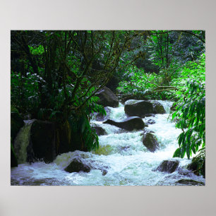 Tropiskt Hawaiian Waterfall Poster