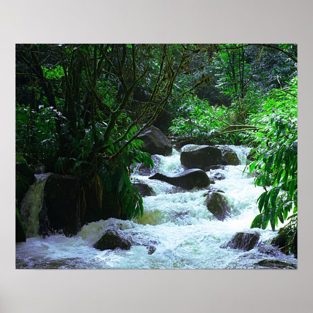 Tropiskt Hawaiian Waterfall Poster (Framsidan)