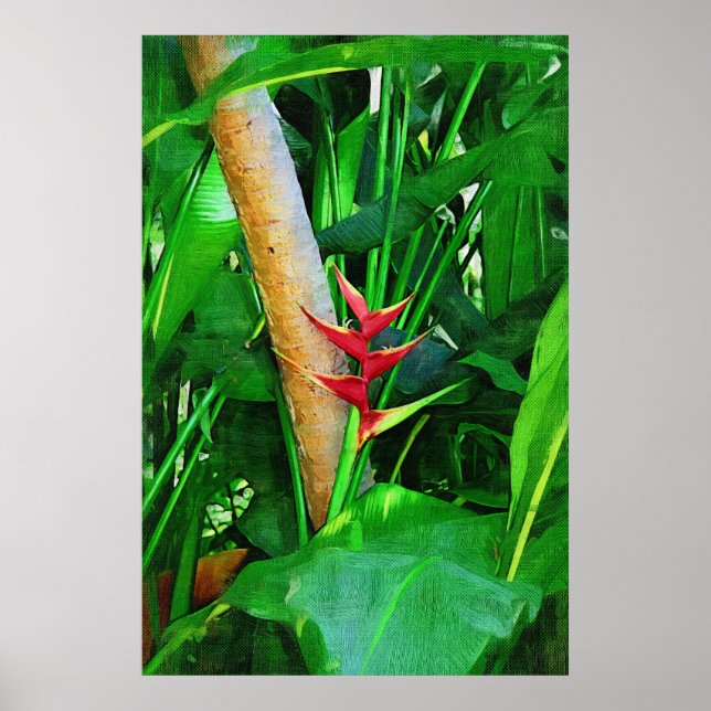 Tropiskt Heliconia - Walk i trädgården Poster (Framsidan)