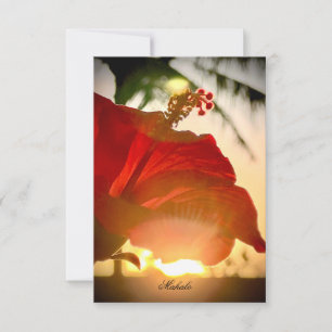 Tropiskt Hibiscus tackkort Tack Kort