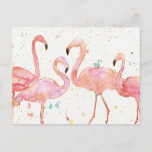 Tropiskt   Insamling av Flamingos Vykort