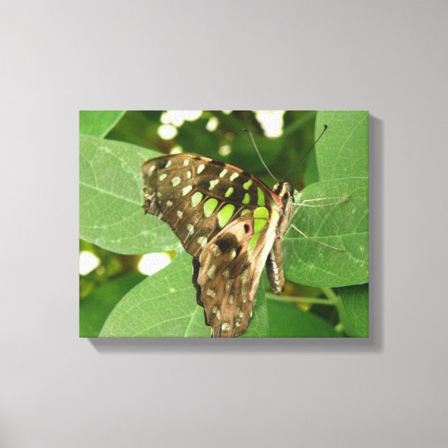 Tropiskt iriserande grönt fjärilstryck på canvas (Framsida)