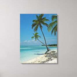 Tropiskt Kanvastryck för persikor