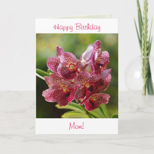 Tropiskt kort för Vanda Orchidfödelsedag