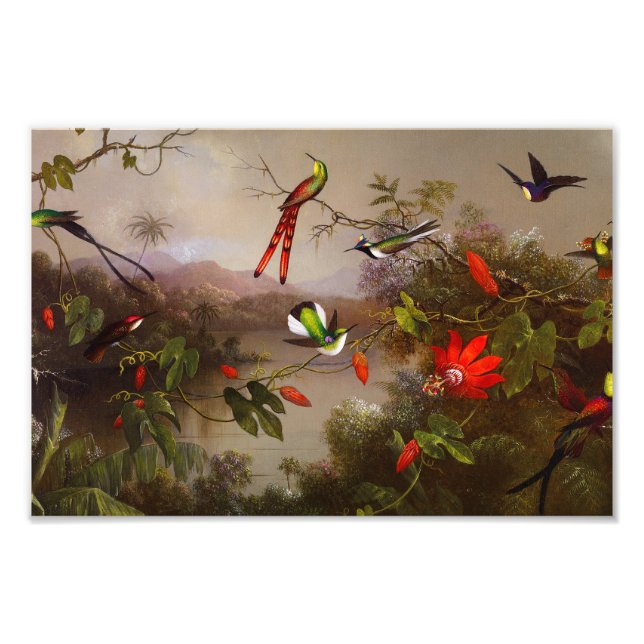 Tropiskt liggande med tio Hummingbird Heade Fototryck (Framsidan)