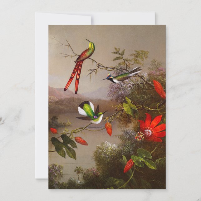 Tropiskt liggande med tio Hummingbird Heade Inbjudningar (Framsida)