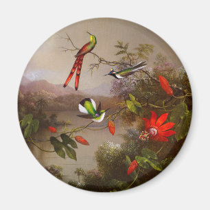 Tropiskt liggande med tio Hummingbird Heade Magnet