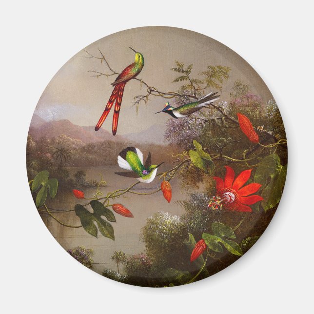 Tropiskt liggande med tio Hummingbird Heade Magnet (Framsidan)