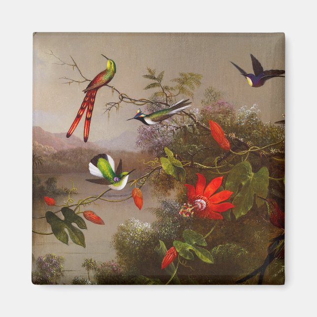 Tropiskt liggande med tio Hummingbird Heade Magnet (Framsidan)