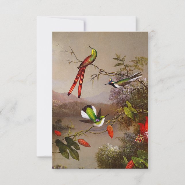Tropiskt liggande med tio Hummingbird Heade OSA Kort (Framsida)