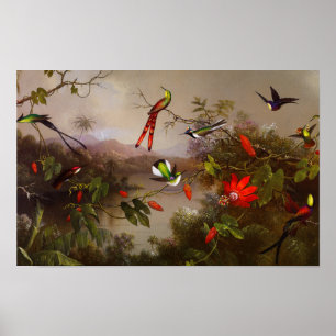 Tropiskt liggande med tio Hummingbird Heade Poster