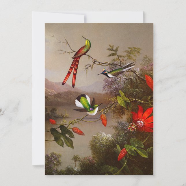 Tropiskt liggande med tio Hummingbird Heade Spara Datumet (Framsida)