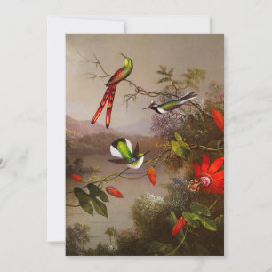 Tropiskt liggande med tio Hummingbird Heade Spara Datumet