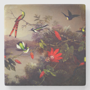 Tropiskt liggande med tio Hummingbird Heade Stenunderlägg