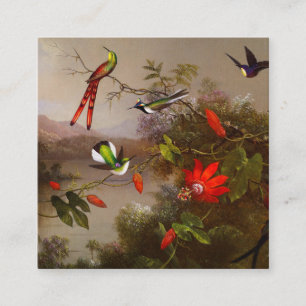 Tropiskt liggande med tio Hummingbird Heade Tilläggskort