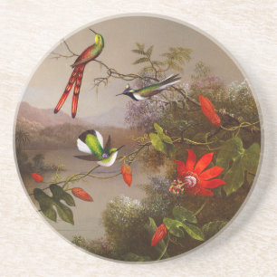 Tropiskt liggande med tio Hummingbird Heade Underlägg