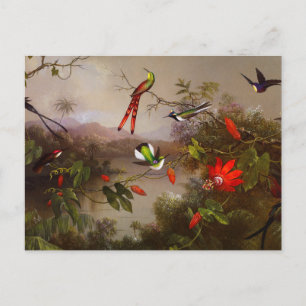 Tropiskt liggande med tio Hummingbird Heade Vykort