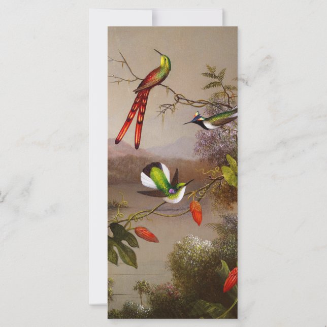 Tropiskt liggande med tio Hummingbird-kort (Framsida)