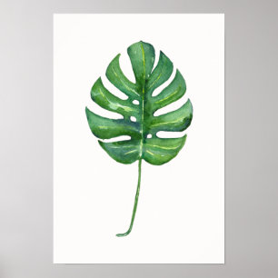Tropiskt Löv (Monstera) Poster vattenfärg