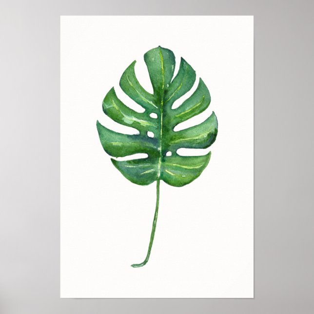 Tropiskt Löv (Monstera) Poster vattenfärg (Framsidan)