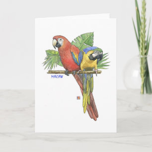 Tropiskt Macaws-anteckningskort Kort