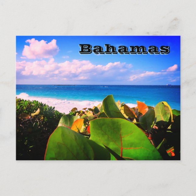 Tropiskt mål för brant Anpassningsbar Vykort (Framsida)