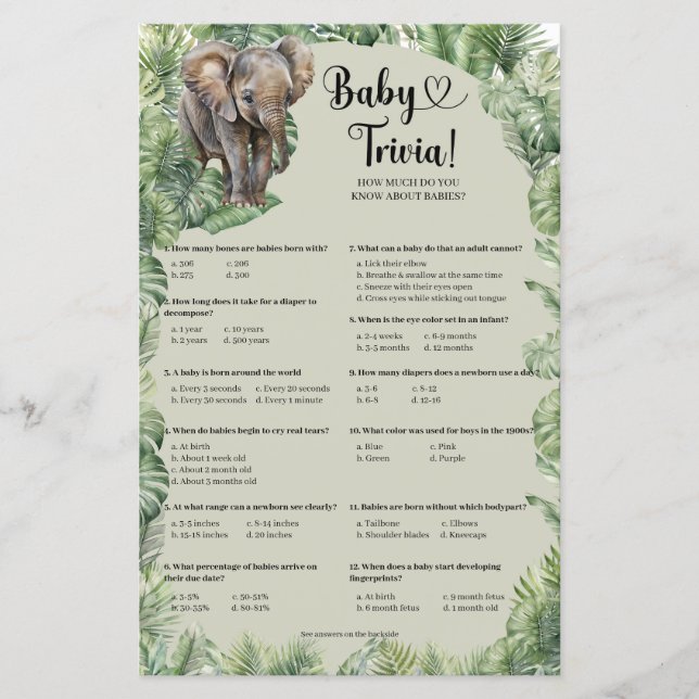 Tropiskt nalle pampas-gräs Baby Trivia (Framsida)