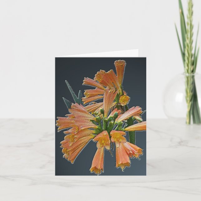Tropiskt notkort för orange kort (Framsida)