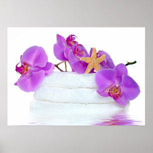 Tropiskt område poster