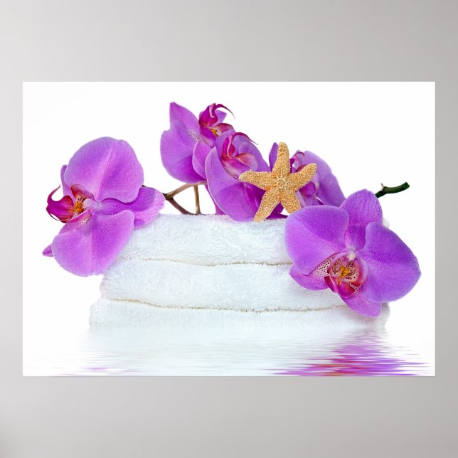 Tropiskt område poster (Framsidan)