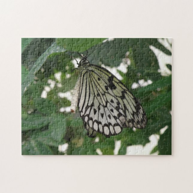 Tropiskt Pappert Kite Butterfly Puzzle Pussel (Horisontell)