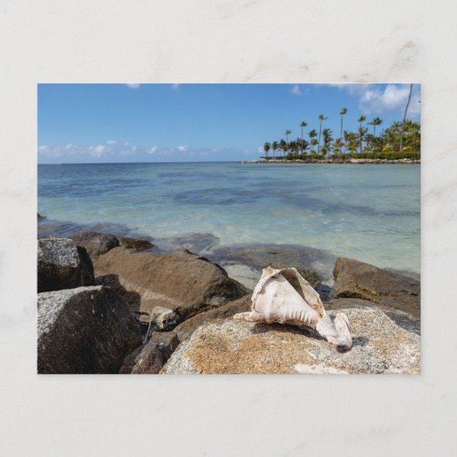 Tropiskt Paradis Vykort (Framsida)