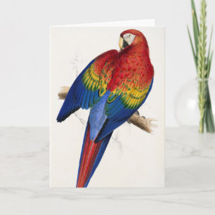 Tropiskt parkettkort kort