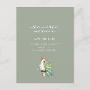 Tropiskt parrot Beach Wedding Datumet Meddelande Vykort