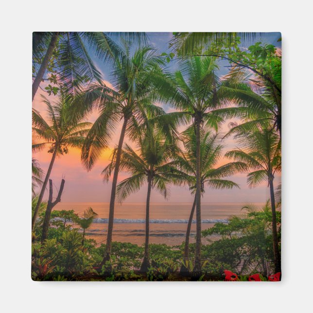 Tropiskt persikor | Corcovado nationalpark Magnet (Framsidan)