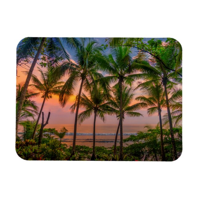 Tropiskt persikor | Corcovado nationalpark Magnet (Horisontell)