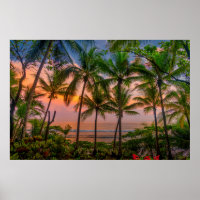 Tropiskt persikor | Corcovado nationalpark